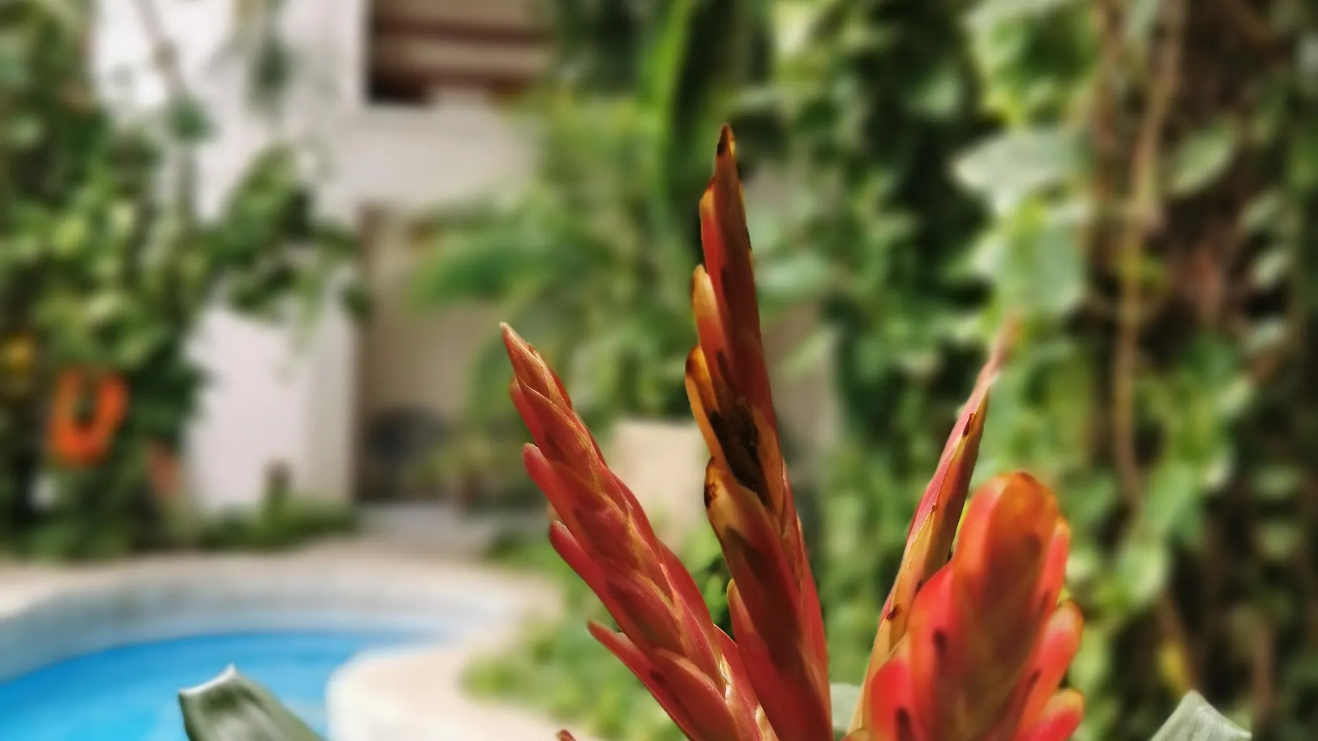 ***  Hotel Hulku Playa del Carmen México